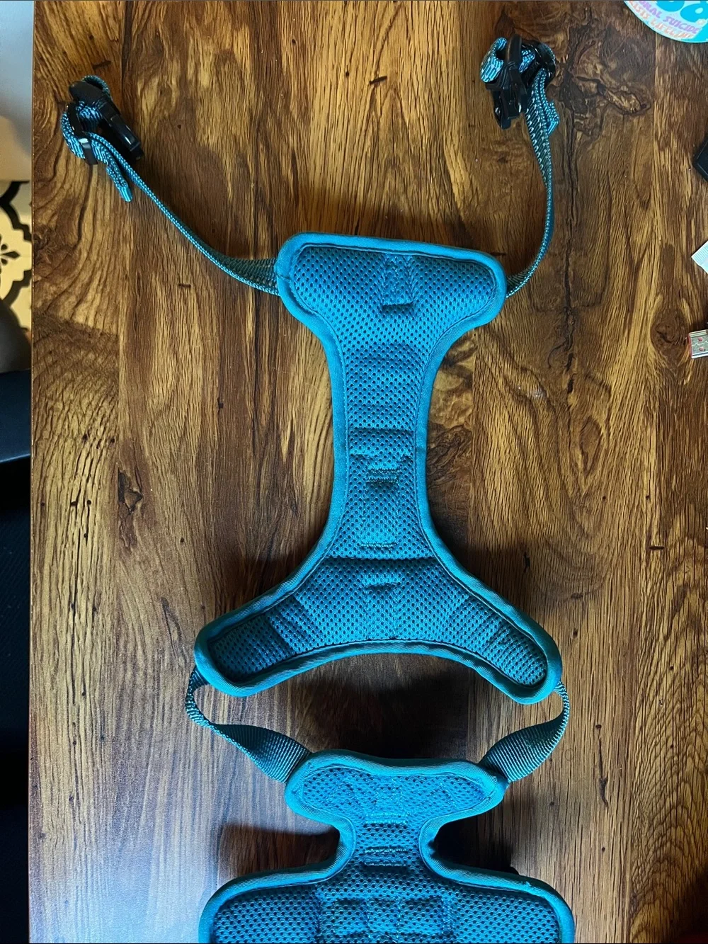 Truelove Teal Dog Harness - Padded, Size Small - Picture 3 of 3